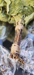 Дубовый веникБерезовый веник На месте в Лондоне (TW18 Staines) Возможно отправка по всей Великобритании DPD, EVRi. Отличное качество, листья не осыпаются, использовать можно не однократно. image 3