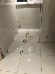 Quality reliable friendly tiler, free estimates. Bathrooms, kitchens, conservatories, steps, repairs. I work with a fitting team and can supply materials at extremely competitive prices. ... image 9